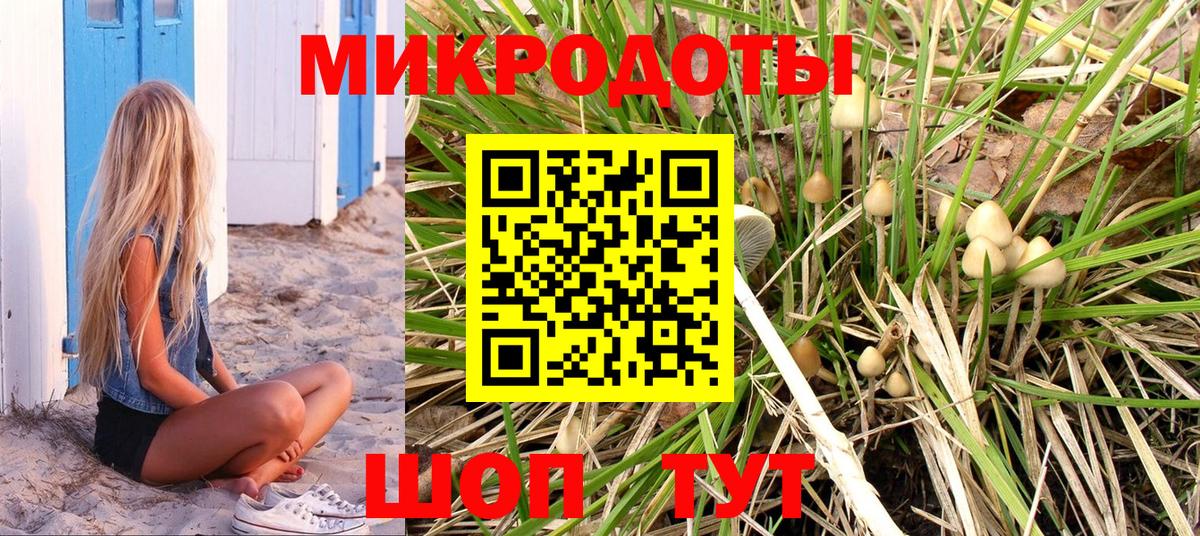 Псилоцибиновые грибы Cubensis Советск