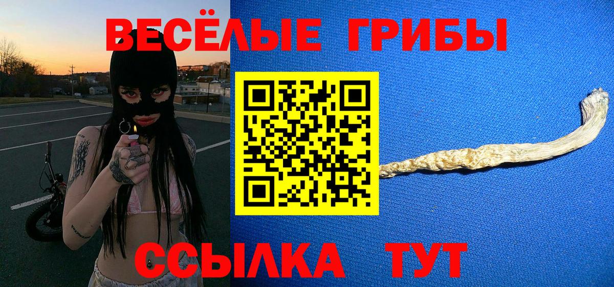 Псилоцибиновые грибы прущие грибы  Галлюциногенные грибы Psilocybine cubensis  Вход с VPN  Советск 
